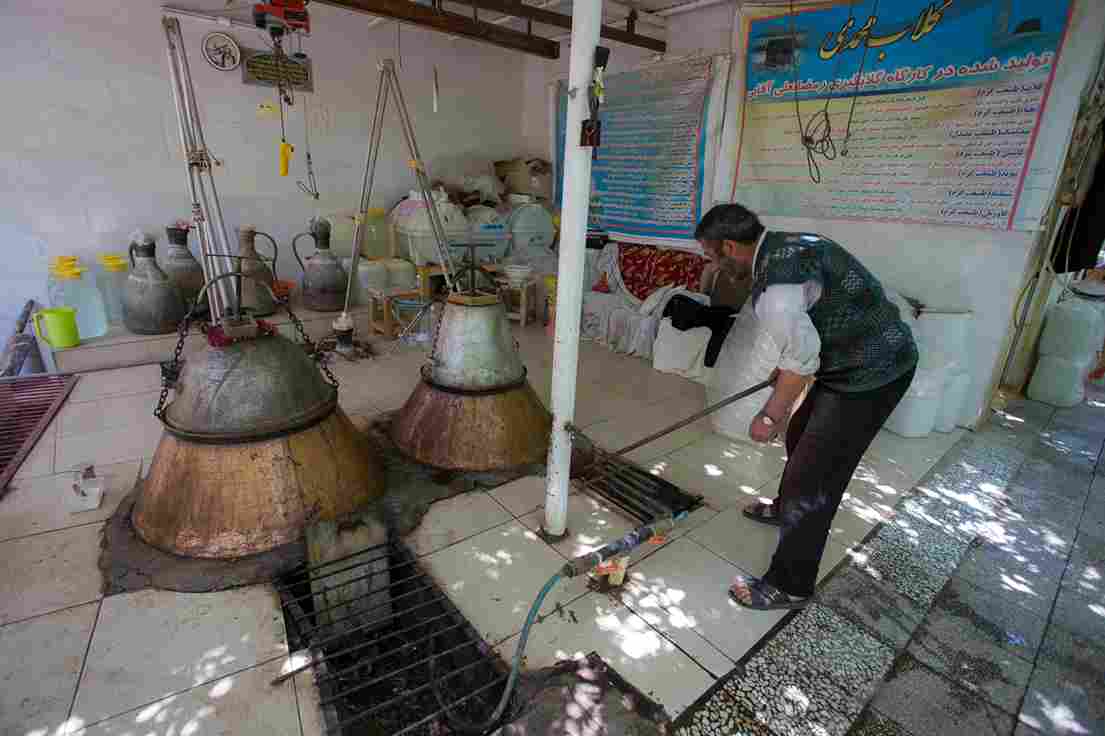 عرق بیدمشک جنت با عطر ماندگار و کیفیت ممتاز